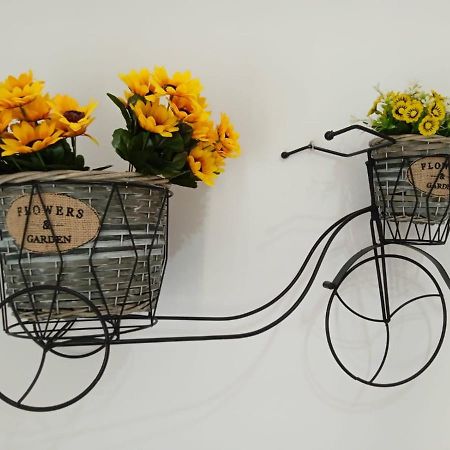 El Bressol De La Muntanya Apartment Рипол Екстериор снимка
