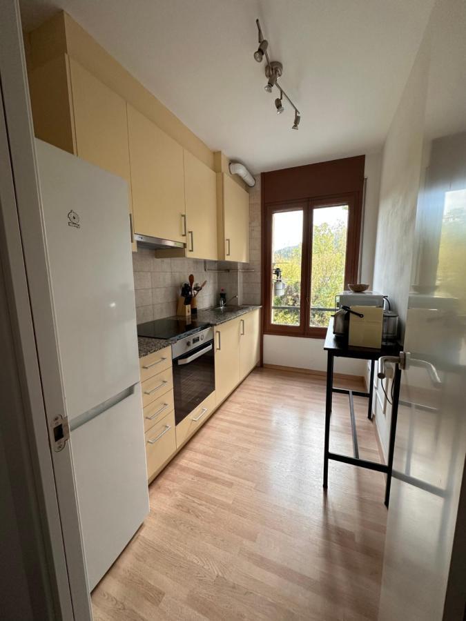 El Bressol De La Muntanya Apartment Рипол Екстериор снимка
